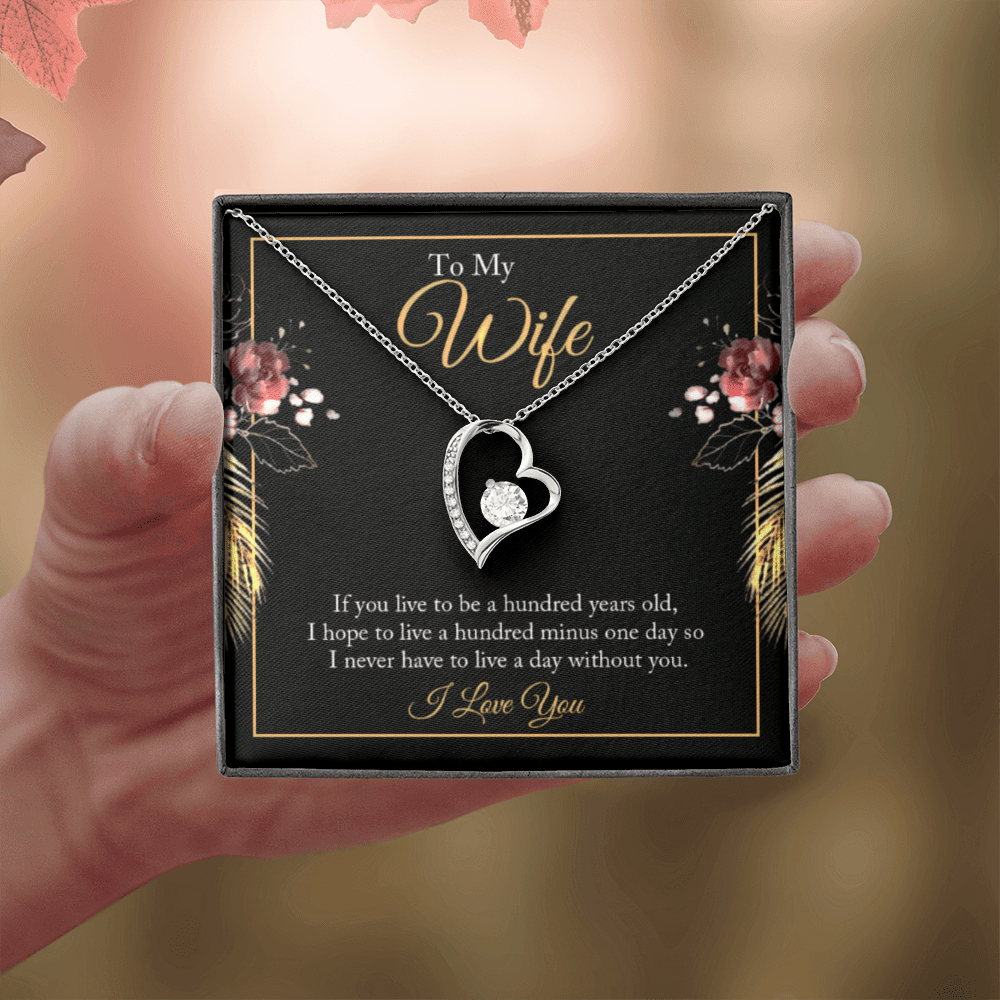 My Wife - Live Everyday