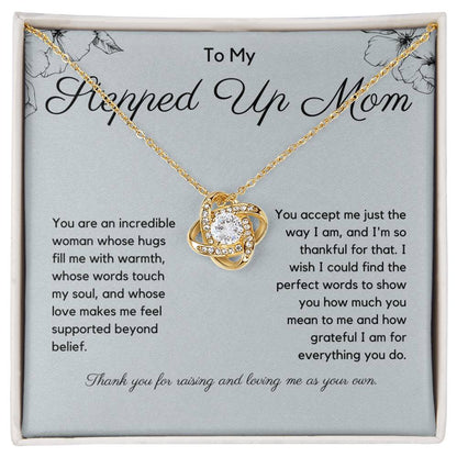 Gift For Stepped Up Mom - You Are An Incredible Woman